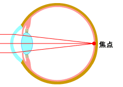 正常な眼のメカニズム